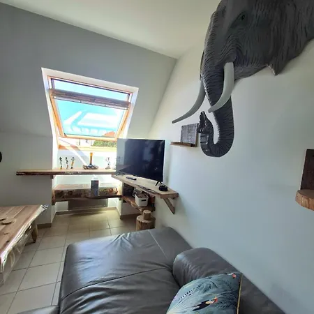 O Safari 8p Proche De Boulogne-sur-mer