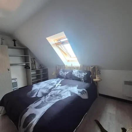 O Safari 8p Proche De Boulogne-sur-mer * 생-마르탱-불로뉴