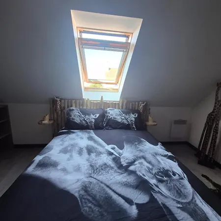 O Safari 8p Proche De Boulogne-sur-mer *