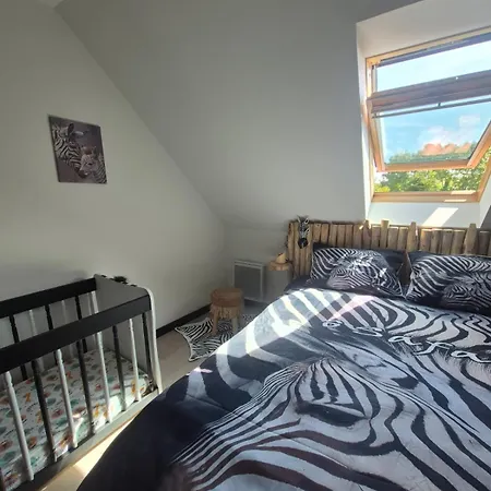 O Safari 8p Proche De Boulogne-sur-mer Saint-Martin-Boulogne