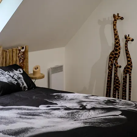 O Safari 8p Proche De Boulogne-sur-mer