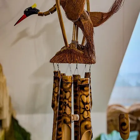 O Safari 8p Proche De Boulogne-sur-mer 생-마르탱-불로뉴