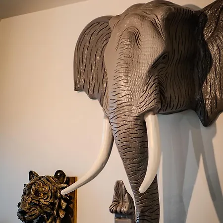 O Safari 8p Proche De Boulogne-sur-mer